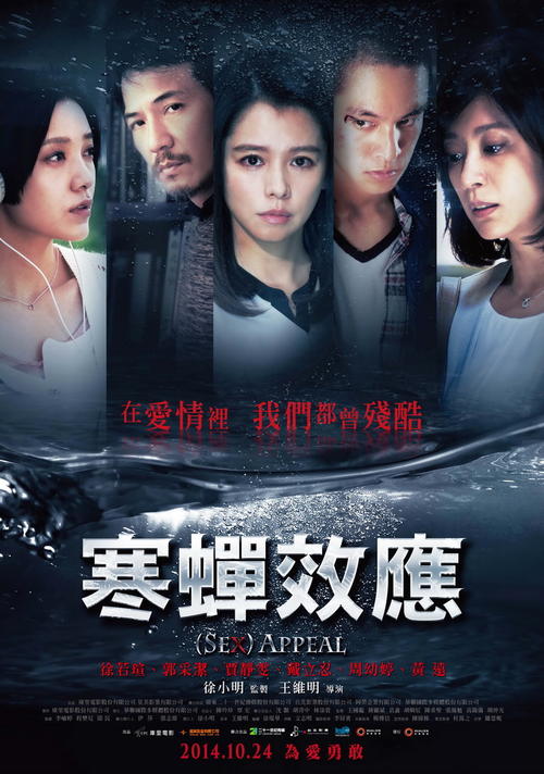 假转账凭条多少钱